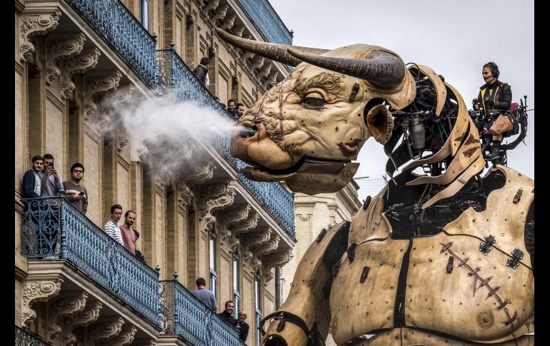 Dos figuras gigantes, una de un minotauro y otra de una araña gigante, se pasearon por las calles de la ciudad de Toulouse, Francia y llegaron a la Place du Capitole como parte del festival de teatro callejero protagonizado por la compañía La Machine. AFP / E. Cabanis