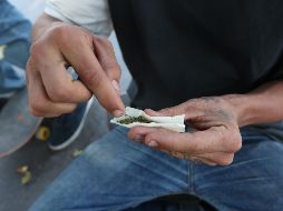 El 29 de abril, la Cámara de Diputados aprobó el uso medicinal y científico de la marihuana en México al reformar la Ley General de Salud y al Código Penal Federal. EL INFORMADOR/ARCHIVO