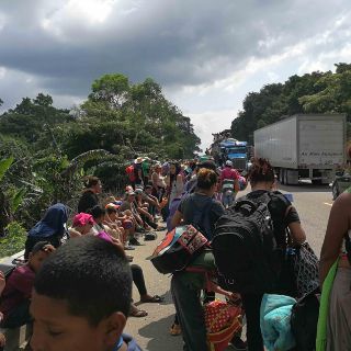 Caravana migrante camina hacia Ciudad Isla, Veracruz, con rumbo a CDMX