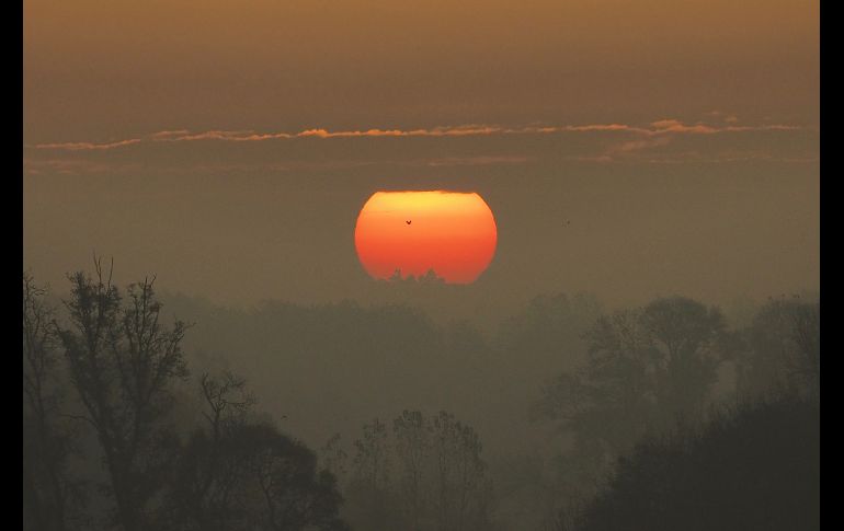 El Sol sale cerca de Chateauroux, en el centro de Francia. AFP/G. Souvant