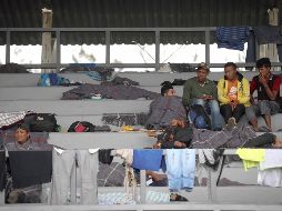 Unos 470 integrantes de la Caravana Migrante se encontraban ayer en el estadio Jesús Martínez “Palillo”, habilitado como albergue. SUN/J. Reyes