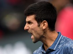 Esta es la cuarta ocasión en la que el serbio accede a lo más alto de la clasificación mundial, la última vez fue hace dos años, y desplaza al segundo lugar al español Rafael Nadal. AFP / C. Archambault