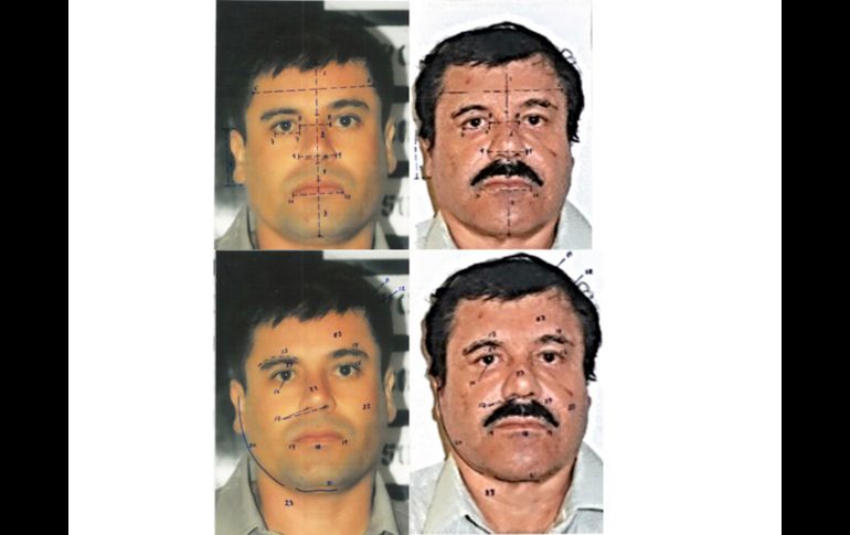 La Procuraduría General de la República realizó pruebas genéticas, de comparación de rasgos faciales y de dactiloscopia al narcotraficante mexicano con el fin de confirmar su identidad. AP/PGR/ARCHIVO