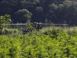 El legislador morenista destacó que aún quedaron algunos puntos en suspenso para incorporar a la iniciativa. EL INFORMADOR/ARCHIVO