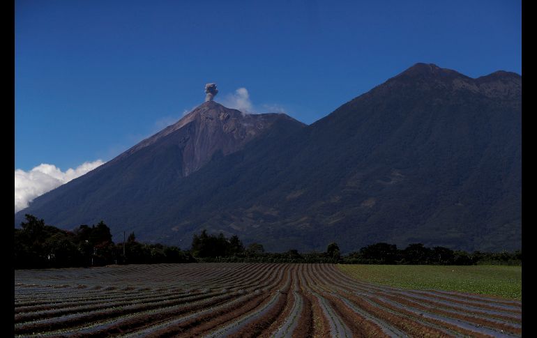 El volcán de Fuego en Alotenango, Guatemala, comenzó hoy una nueva fase eruptiva, la cuarta de este año, después de que en junio pasado experimentara una que dejó al menos 190 muertos. EFE/E. Biba.