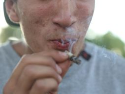 La Cofepris ha emitido 351 permisos de importación para uso personal de cannabis. EL INFORMADOR / ARCHIVO