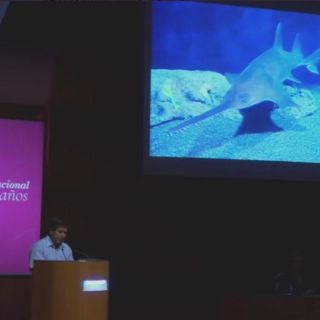 Descubren restos de peces sierra en el Templo Mayor