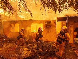 ''Miles de millones de dólares se dan cada año, con tantas vidas perdidas, todo por una absoluta mala gestión de los bosques'', afirmó Trump en su cuenta de Twitter. AFP / J. Edelson