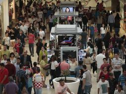 Para realizar buenas compras, se recomienda comparar productos en distintos establecimientos; identificar las necesidades reales, impostergables e inmediatas y adquirir aquello que hace falta. EL INFORMADOR / ARCHIVO