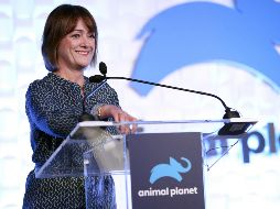Presidenta de la cadena Animal Planet, Dinnage sustituirá a Richard Scudamore, dirigente de la Premier League desde hace 19 años. AFP / ARCHIVO