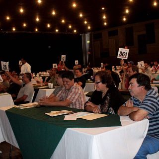 Esperan recaudar siete MDP en subasta del IJAS