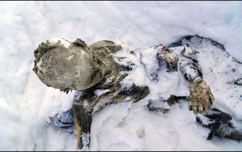 El 1 de marzo de 2015, un grupo de montañistas halló por casualidad los cuerpos momificados cerca de la cima, pero el rescate total no pudo concretarse hasta ahora. AFP/ARCHIVO