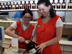 El programa prevé dar becas para estudios a 300 mil jóvenes y un salario por capacitación de tres mil 600 pesos para otros 2.6 millones durante un año. EFE/Archivo