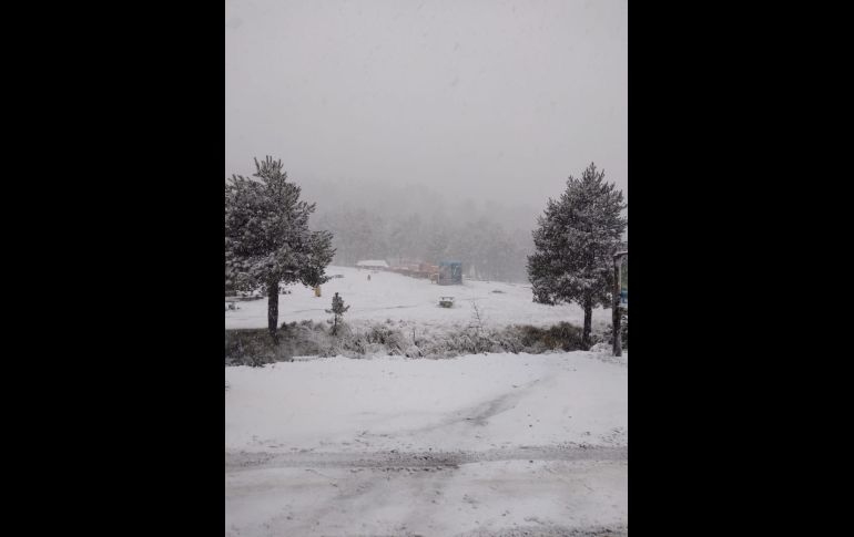 En la zona del Nevado de Toluca se registró caída de nieve que alcanzó hasta los 10 centímetros. TWITTER@SS_Edomex
