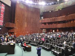 En la propuesta de MC, refirió Prudencio, se solicitó añadir que estos programas estuvieran sujetos a “reglas de operación”, pero fue rechazado. NTX/