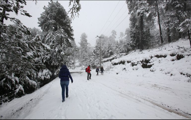El miércoles,  el Nevado de Toluca se cubrió de blanco al registrar cuatro grados bajo cero. SUN