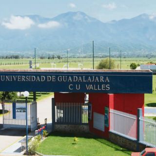 Impulsan 38 iniciativas a emprendedores de Jalisco