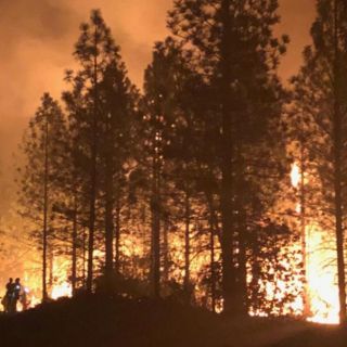Asciende a 80 número de muertos por incendios en California