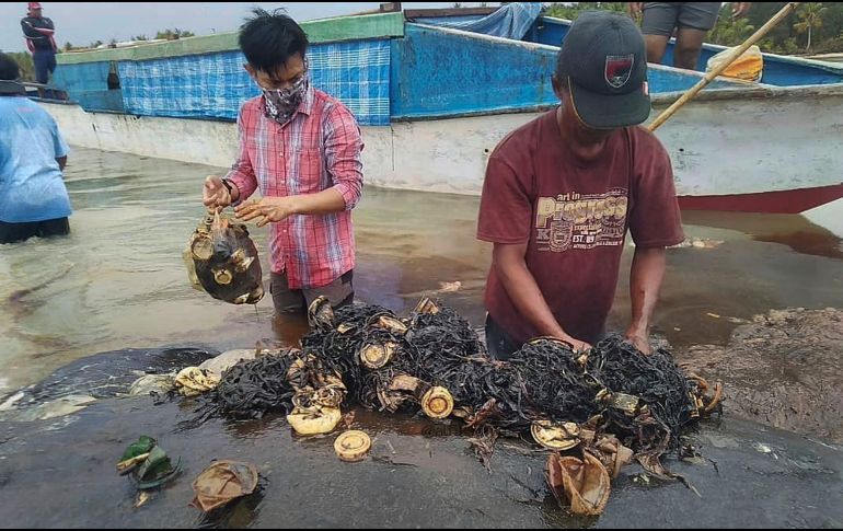 Investigadores retiran los desechos plásticos del estómago de la ballena varada en el Parque Nacional de Wakatobi en el sudeste de Sulawesi, Indonesia. AP / Muhammad Irpan Sejati Tassakka