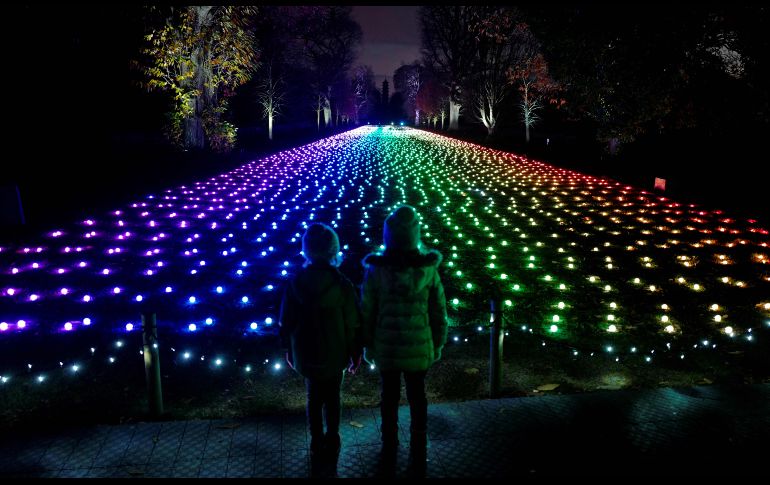 Luces se despliegan en Kew Gardens, Londres, en un evento para promover el lanzamiento del espectáculo 