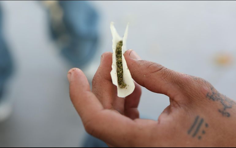 La medida establece la creación de una comisión de cinco personas a cargo de regular el cannabis. EL INFORMADOR/ ARCHIVO