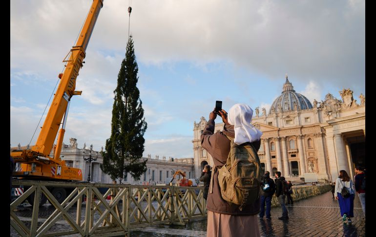 Una religiosa toma fotos del árbol de Navidad que se coloca en la plaza de San Pedro, en el Vaticano. AP/A. Medichini