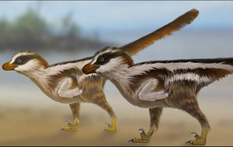 Las pistas creadas por dinosaurios del tamaño de un gorrión fueron encontradas originalmente por el profesor Kyung Soo Kim. ESPECIAL