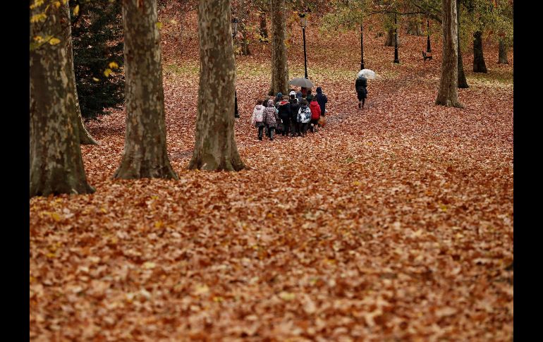 Un grupo de estudiantes atraviesan un parque completamente cubierto de hojas desprendidas de los árboles en Pamplona, España. EFE/J. Diges