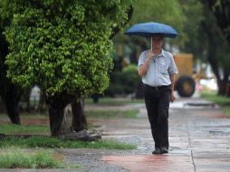 El viento dominante soplará variable con rachas ocasionales en la tarde, el tiempo estará fresco durante este día, frío por la noche y al amanecer, con una máxima de 20 grados y una mínima de 14 grados. EL INFORMADOR / ARCHIVO