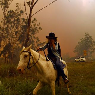 Incendios en California costarán más de 10 MMDD a aseguradoras