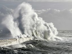 El mundo en imágenes del 29 de noviembre de 2018