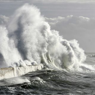 El mundo en imágenes del 29 de noviembre de 2018