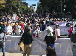 Algunas de las otras exigencias fueron que no haya consultas ni leyes a modo. ESPECIAL