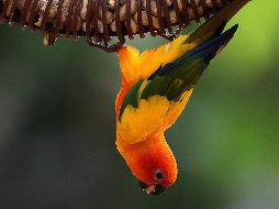 El mundo en imágenes del 5 de diciembre de 2018