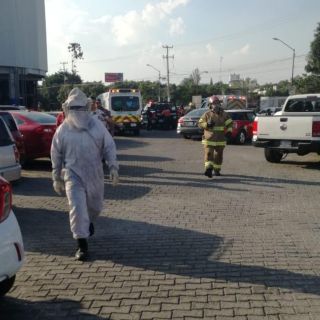 Abejas en Plaza Patria dejan a cinco personas con lesiones