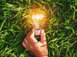 Empresas muestran innovación con distintos segmentos