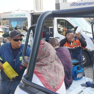 Más de cuatro mil reportes por abejas en lo que va del año en Zapopan