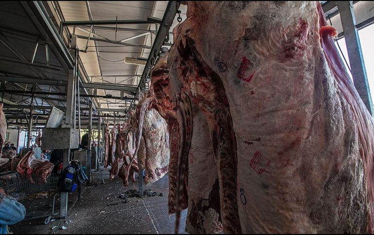 Una investigación comprueba la dificultad de los riñones para eliminar algunas sustancias producidas por las carnes rojas. EL INFORMADOR/ARCHIVO