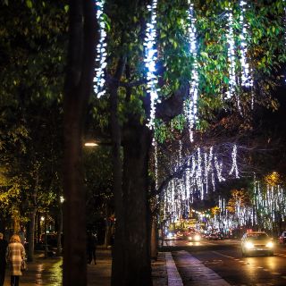 Puente "Guadalupe-Reyes", el de mayores ventas: Concanaco