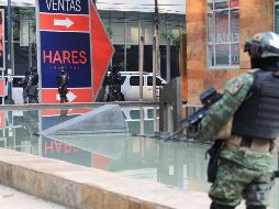 El Ejército está en proceso de darles a sus miembros la preparación policiaca para atender estos delitos y tener contacto con la ciudadanía. SUN / ARCHIVO