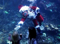 El buzo voluntario George Bell lució su traje de Santa Claus y respondió preguntas de los visitantes sin salir del tanque. AP/J. Chiu