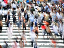 Somos parte de una simbiosis que se encuentra en un enriquecimiento y movimiento constante. ESPECIAL