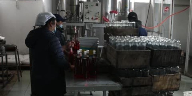 Conoce la cuna de la sidra artesanal