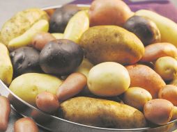 Papa. En Estados Unidos su cultivo se ha sofisticado.