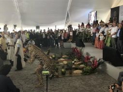Los rezadores de las etnias entonaron algunos cánticos mientras enterraban la ofrenda a la madre tierra. NTX / J. Almeidas