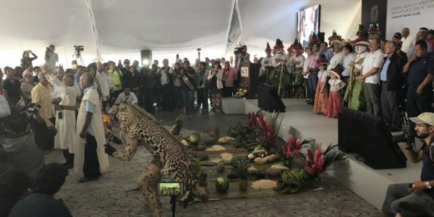 Ofrecen a la madre tierra aguardiente y alimentos para construir Tren Maya