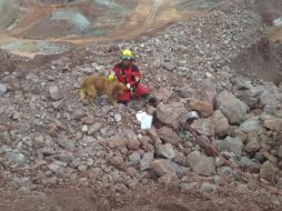 “Puppy” y su entrenador, el oficial Alfredo Nava. ESPECIAL / Protección Civil Jalisco