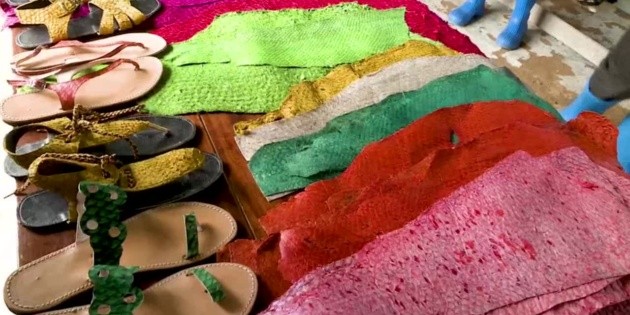 Usan escamas para una moda sostenible
