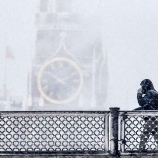 El mundo en imágenes del 18 de diciembre de 2018