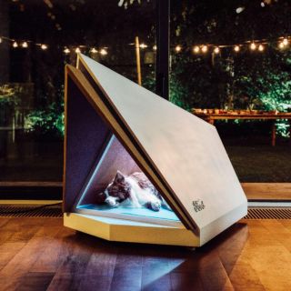 Crean una casita para los perros que tienen miedo a la pirotecnia